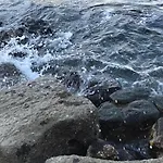 Oda ve Kahvaltı O Cottimo Redang Island