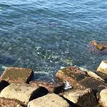 Oda ve Kahvaltı O Cottimo Redang Island